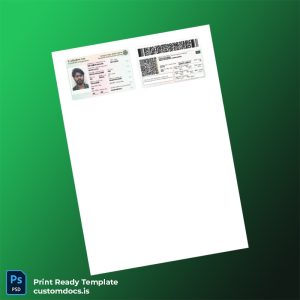 custom Bangladesh Issuing Authority Registration Certificate Template - Word & PDF File Preview - CustomDocs