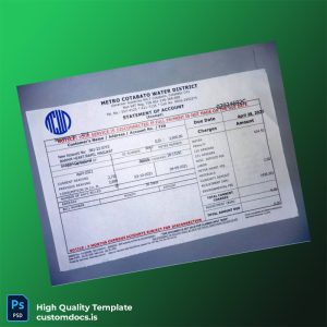 NATIONAL POWER CORPORATION Editable Utility Bill Template in Word and PDF formats