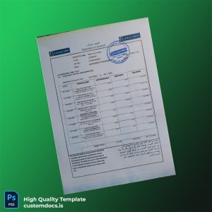 UAE Emirates NBD Bank Statement Template in Word and PDF formats