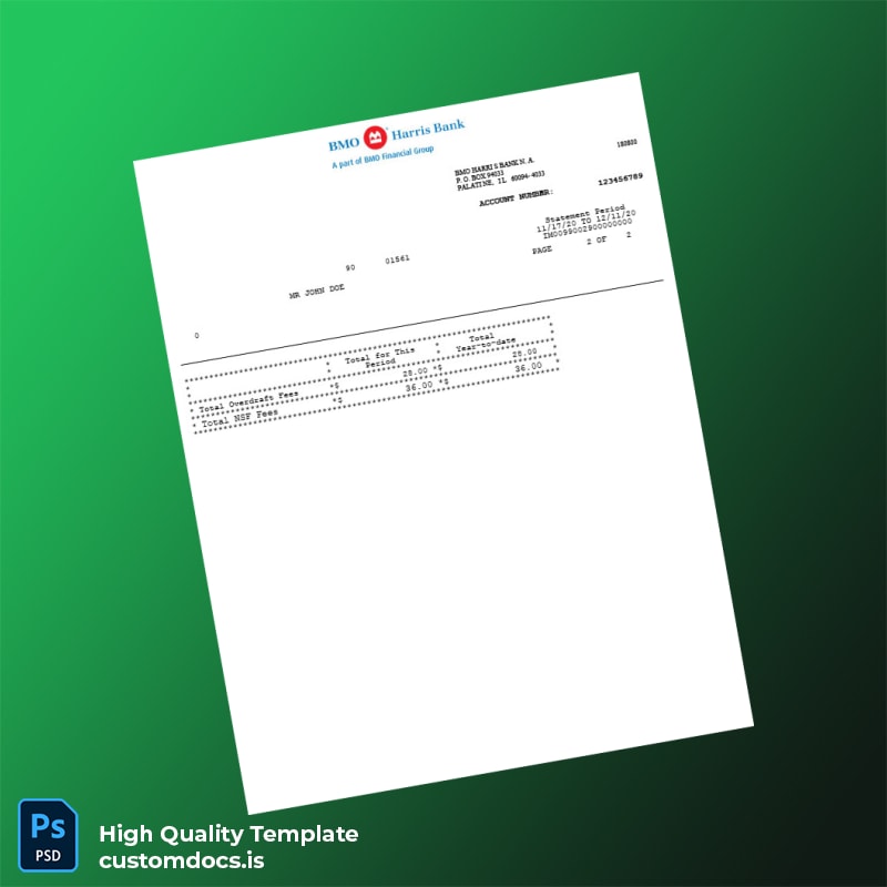 USA BMO Harris Bank Statement Template in Word and PDF formats page 2