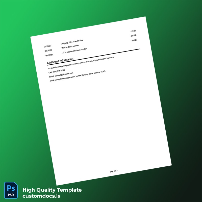 USA Bluevine Bank Statement Template in Word and PDF formats page 2