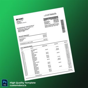 USA Choice Bank Statement Template in Word and PDF formats