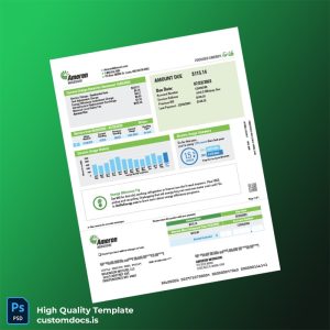 United States Ameren Missouri Editable Electricity Bill Template in Word and PDF formats