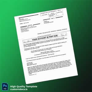 United States AmerenIP Editable Utility Bill Template in Word and PDF formats