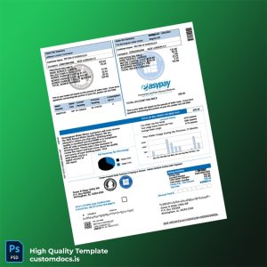 United States Birmingham Water Works Board Editable Water Bill Template in Word and PDF formats