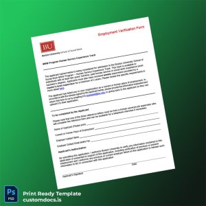 custom United States Boston University Employment Verification Letter Template - Word & PDF File Preview - CustomDocs