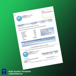 United States City Of Chicago Department Of Finance-Utility Billing Editable Utility Bill Template in Word and PDF formats