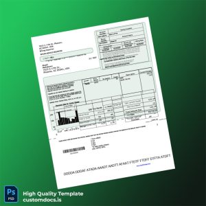 United States City Of Chicago Editable Gas Bill Template in Word and PDF formats