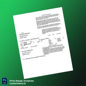 custom United States Florida Vehicle Registration Certificate Template - Word & PDF File Preview - CustomDocs