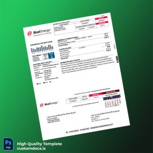 United States Xcel Energy Editable Utility Bill Template in Word and PDF formats