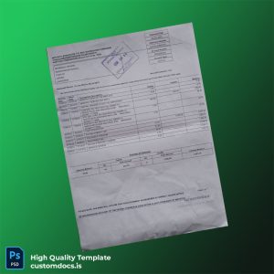 Zimbabwe CBZ Bank Statement Template in Word and PDF formats