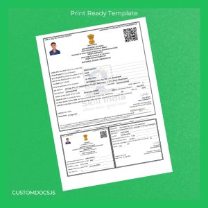 custom India National Trade Certificate in Electrician NSFQ File Preview - CustomDocs