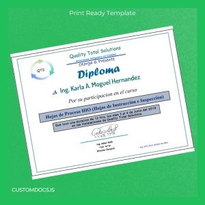 custom Mexico Quality Total Solutions Participation Diploma in HIO Process Sheets File Preview - CustomDocs