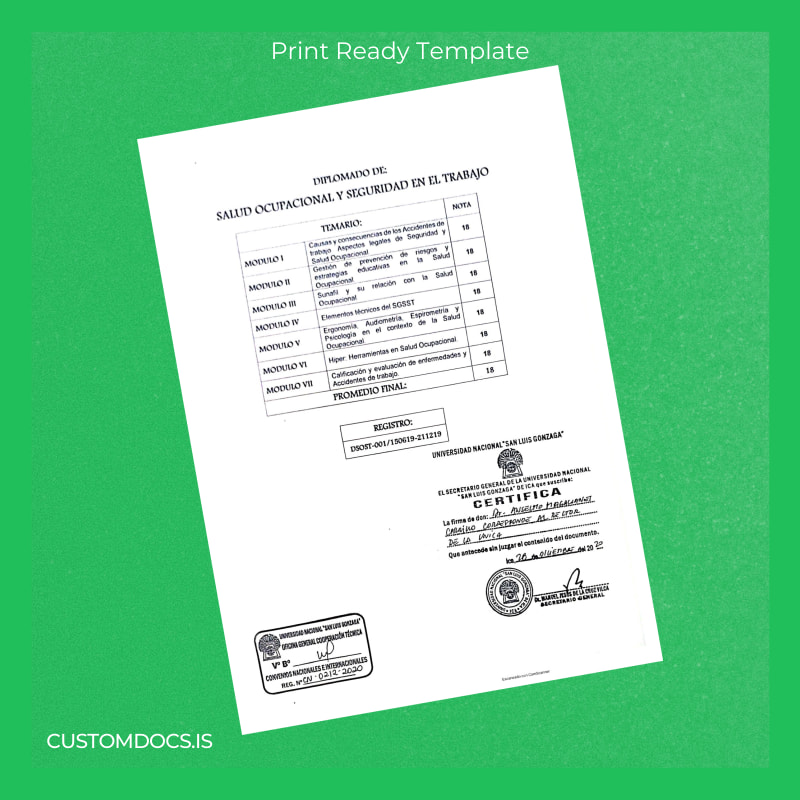 Custom Peru Universidad Nacional _San Luis Gonzaga_ Diploma in Occupational Health and Safety page 2 File Preview - CustomDocs