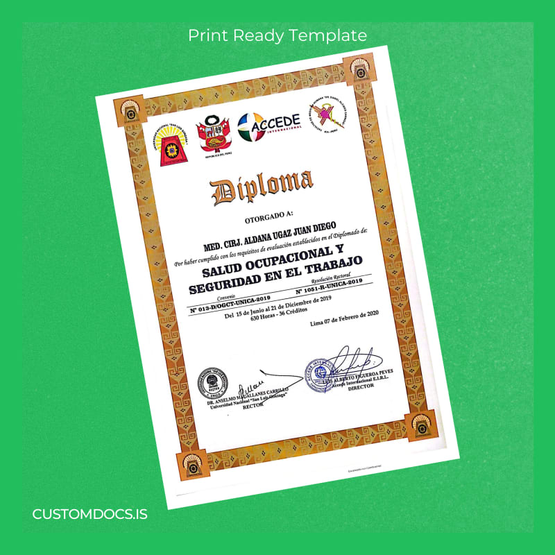 custom Peru Universidad Nacional _San Luis Gonzaga_ Diploma in Occupational Health and Safety File Preview - CustomDocs