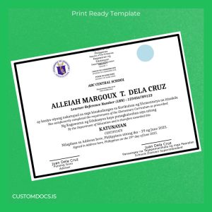 custom Philippines ABC Central School Elementary Curriculum Certificate File Preview - CustomDocs