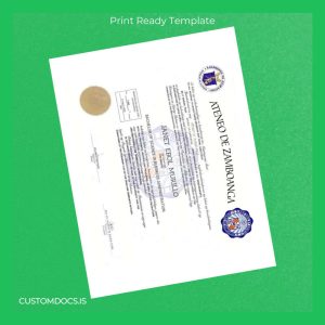 custom Philippines Ateneo de Zamboanga Bachelor of Science in Business Administration Template File Preview - CustomDocs