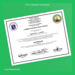 custom Philippines Carmen National High School High School Diploma File Preview - CustomDocs