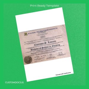 custom Philippines De Los Santos - STI College of Health Professions Inc Bachelor of Science in Nursing Template File Preview - CustomDocs