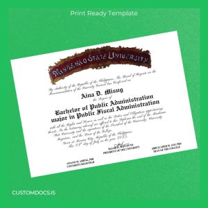custom Philippines Mindanao State University Bachelor of Public Administration Template File Preview - CustomDocs