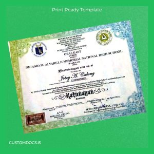 custom Philippines Nicasio M. Alvarez II Memorial National High School Junior High School Certificate File Preview - CustomDocs