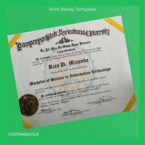 custom Philippines Pampanga State Agricultural University Bachelor of Science in Information Technology Template File Preview - CustomDocs