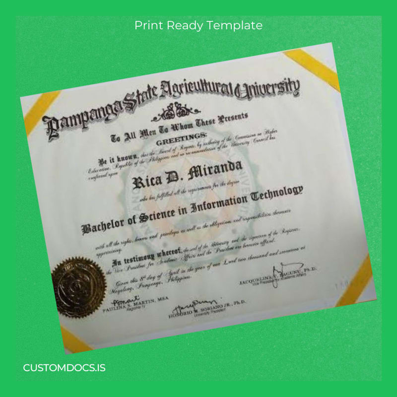 custom Philippines Pampanga State Agricultural University Bachelor of Science in Information Technology Template File Preview - CustomDocs