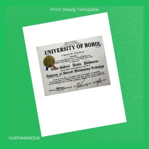 custom Philippines University of Bohol Associate in Aircraft Maintenance Technology Template File Preview - CustomDocs
