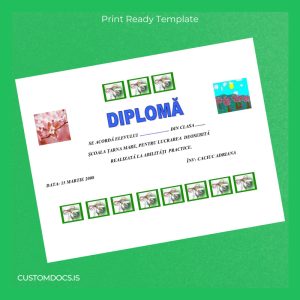 custom Romania Școala Târna Mare Diploma File Preview - CustomDocs