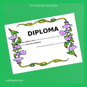 custom Spain CEIP Santa Bárbara Diploma in Early Childhood Education Template File Preview - CustomDocs